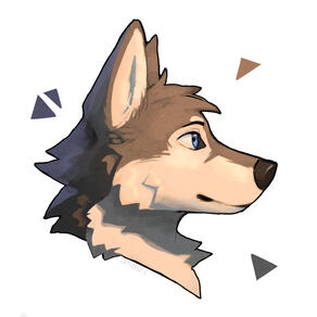 Brown wolf - 2024