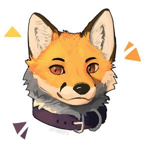 Yellow fox - 2024